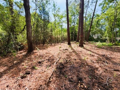 This offering features three lots combined into one property - photo 7