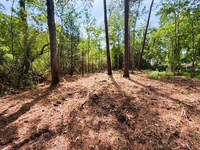 This offering features three lots combined into one property - photo 8