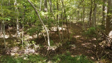 Nice creek front lot with lots of road frontage in Long Branch - photo 38