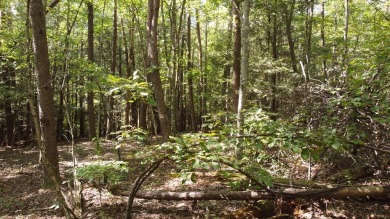 Nice creek front lot with lots of road frontage in Long Branch - photo 39