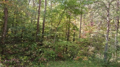 Nice creek front lot with lots of road frontage in Long Branch - photo 40