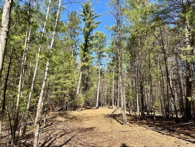 Discover the perfect opportunity to build your Northwoods - photo 1