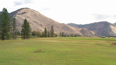 Lake Lot For Sale in Superior, Montana