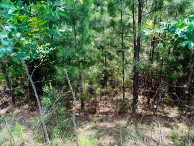 Lake Acreage Sale Pending in Blairsville, Georgia