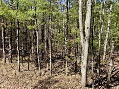 Discover the perfect opportunity to build your Northwoods - photo 2