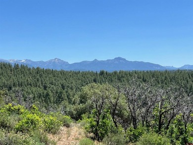 Juli Morelock, Galles Properties, C:,,: 344.6 acres in Downtown - photo 3