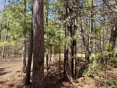 Discover the perfect opportunity to build your Northwoods - photo 3