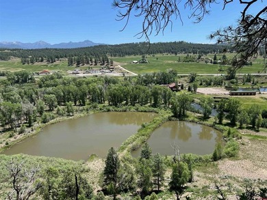 Juli Morelock, Galles Properties, C:,,: 344.6 acres in Downtown - photo 4
