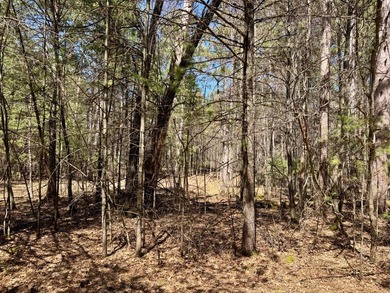 Discover the perfect opportunity to build your Northwoods - photo 4