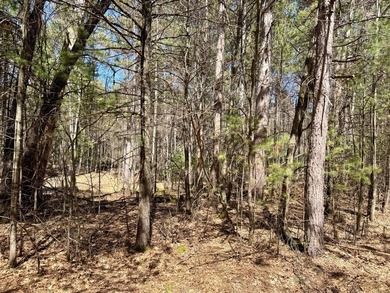 Discover the perfect opportunity to build your Northwoods - photo 5