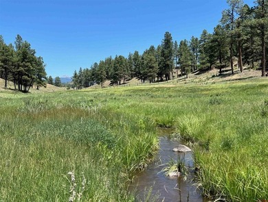 Juli Morelock, Galles Properties, C:,,: 344.6 acres in Downtown - photo 6