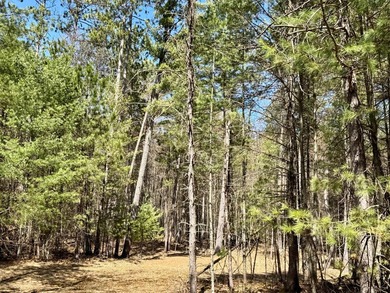 Discover the perfect opportunity to build your Northwoods - photo 6