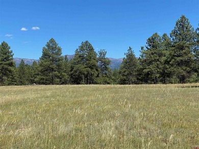 Juli Morelock, Galles Properties, C:,,: 344.6 acres in Downtown - photo 7