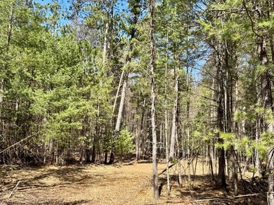 Discover the perfect opportunity to build your Northwoods - photo 7