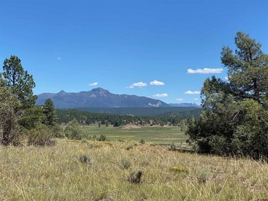 Juli Morelock, Galles Properties, C:,,: 344.6 acres in Downtown - photo 8