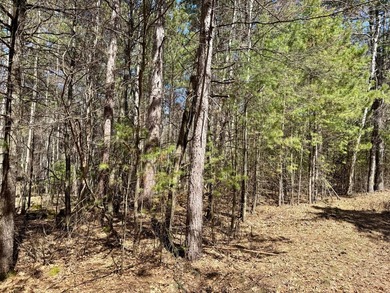 Discover the perfect opportunity to build your Northwoods - photo 8