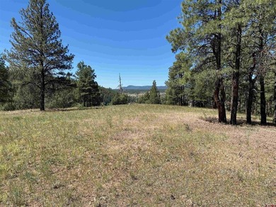 Juli Morelock, Galles Properties, C:,,: 344.6 acres in Downtown - photo 9