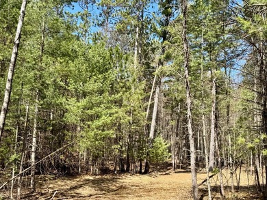 Discover the perfect opportunity to build your Northwoods - photo 9
