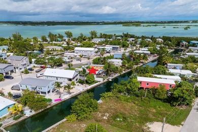 The current 1,310 sq ft mobile home can be removed, giving you a - photo 7