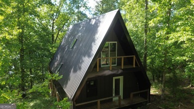 Lake Home For Sale in Martin, Georgia