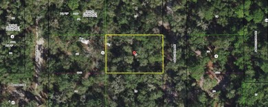 Tsala Apopka Chain of Lakes Lot For Sale in Inverness Florida