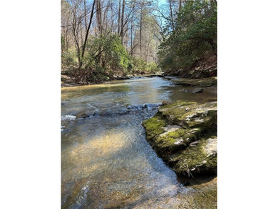 (private lake, pond, creek) Lot For Sale in Talking Rock Georgia