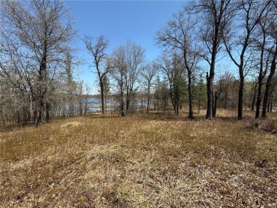 Lake Lot For Sale in Danbury, Wisconsin