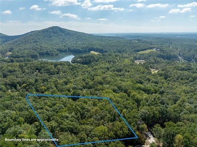 Lake Tamarack Lot For Sale in Jasper Georgia