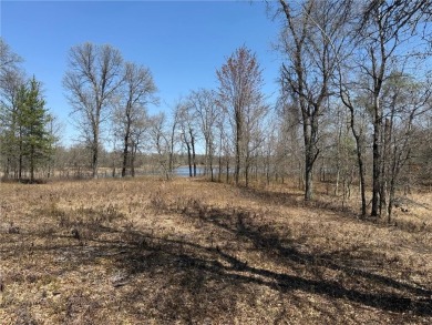 Lake Lot For Sale in Danbury, Wisconsin