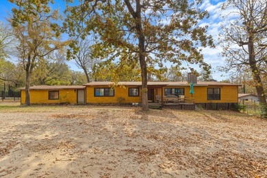 Lake Home For Sale in Malakoff, Texas