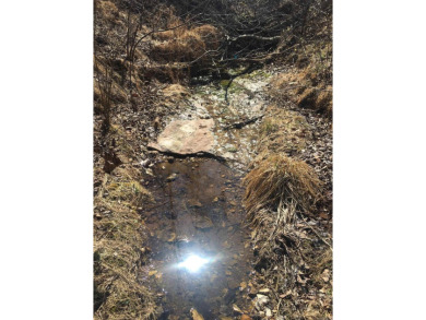 Lake Acreage For Sale in Yellville, Arkansas