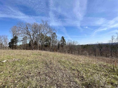 Buffalo River Acreage For Sale in Yellville Arkansas