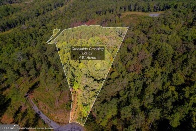 Lake Acreage For Sale in Talking Rock, Georgia