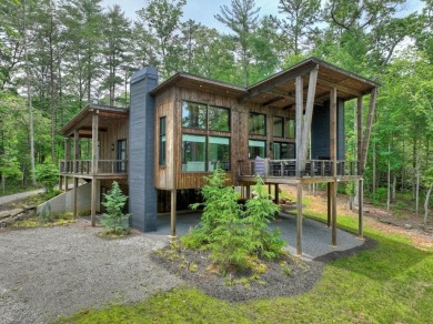 Lake Blue Ridge Home For Sale in Blue Ridge Georgia