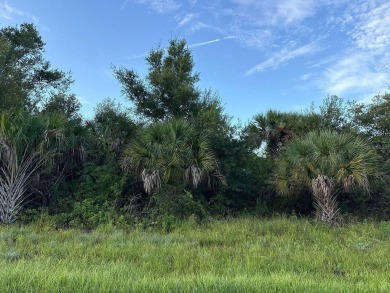 Port Charlotte Waterway Lakes Area Lot For Sale in Port Charlotte Florida