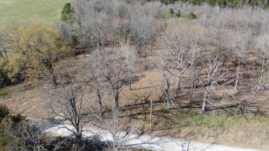 Lake Acreage For Sale in Peel, Arkansas