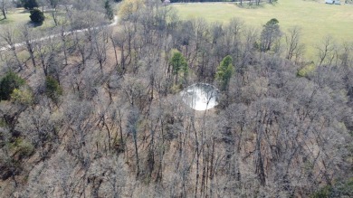 Perfect Setting for Your Getaway Retreat or Forever Home!! - photo 4