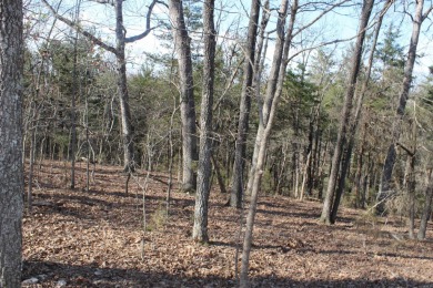 Perfect Setting for Your Getaway Retreat or Forever Home!! - photo 10