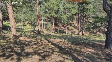 (private lake, pond, creek) Lot For Sale in Florissant Colorado