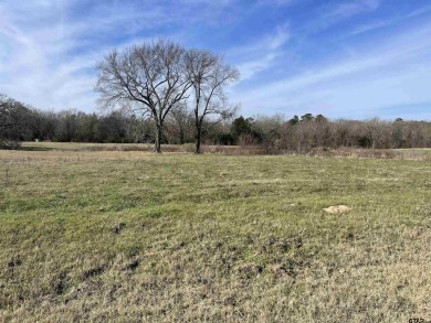 Lake Lot For Sale in Pittsburg, Texas