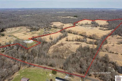 If you're looking for a farm with tillable acreage and quality - Lake Acreage For Sale in Kuttawa, Kentucky