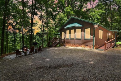 Toccoa River - Fannin County Home Active Under Contract in Blue Ridge Georgia