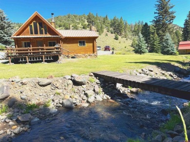 (private lake, pond, creek) Home For Sale in Del Norte Colorado