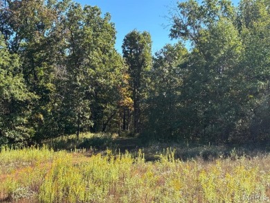 Lake Acreage For Sale in Perry, Missouri