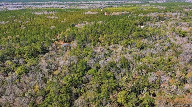 Awesome waterfront property featuring a 3-story home with Gulf - photo 12