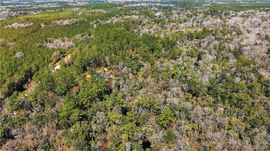 Awesome waterfront property featuring a 3-story home with Gulf - photo 13