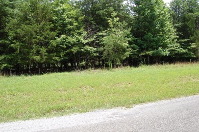 Freedom Lake  Acreage For Sale in Dunlap Tennessee