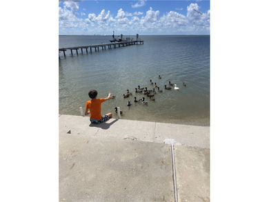 PREMIER BAYFRONT LOT - *PRICE IMPROVEMENT* - Wake up to endless - photo 23