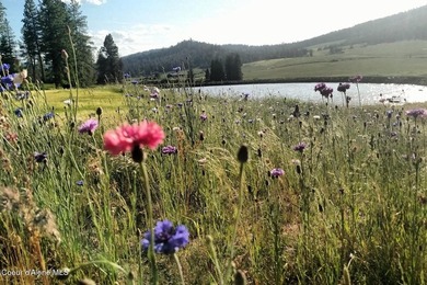 Escape to your Private Idaho sanctuary on 140 acres of pristine - photo 25