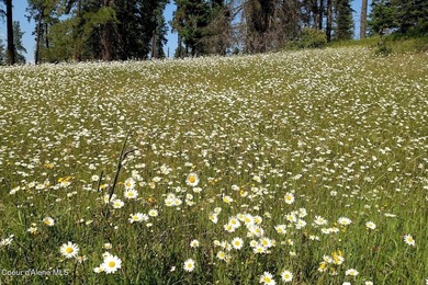 Escape to your Private Idaho sanctuary on 140 acres of pristine - photo 35